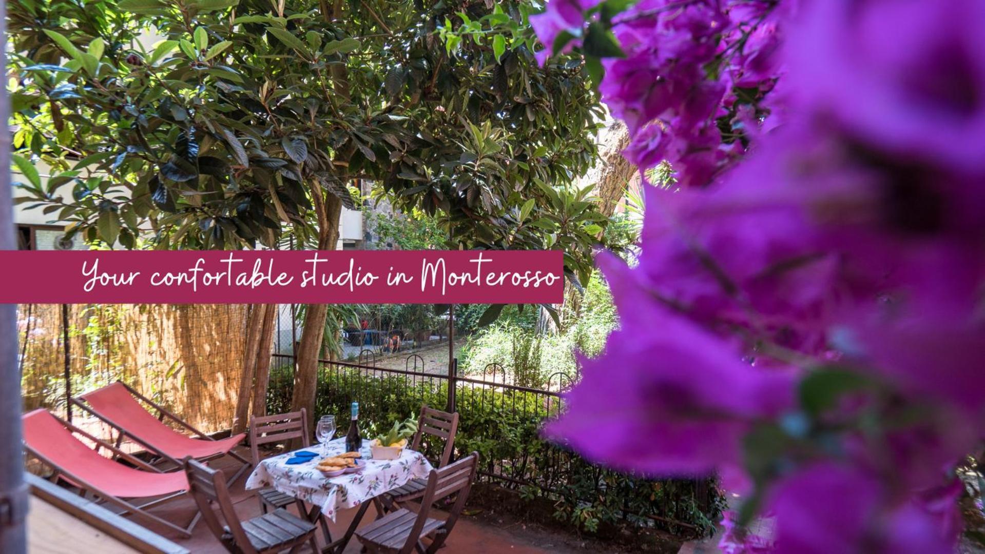 Il Giardino Di Ada Ground Floor Studio With Ac And Patio Monterosso al Mare Zewnętrze zdjęcie